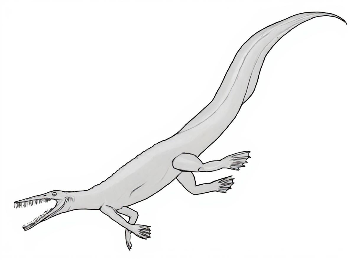 Make this a high-quality black and white COLORING PAGE with white background, only black lines, NO big gray areas, and clear, thick bold outlines, well-defined shapes, and clean edges. Remove all shad