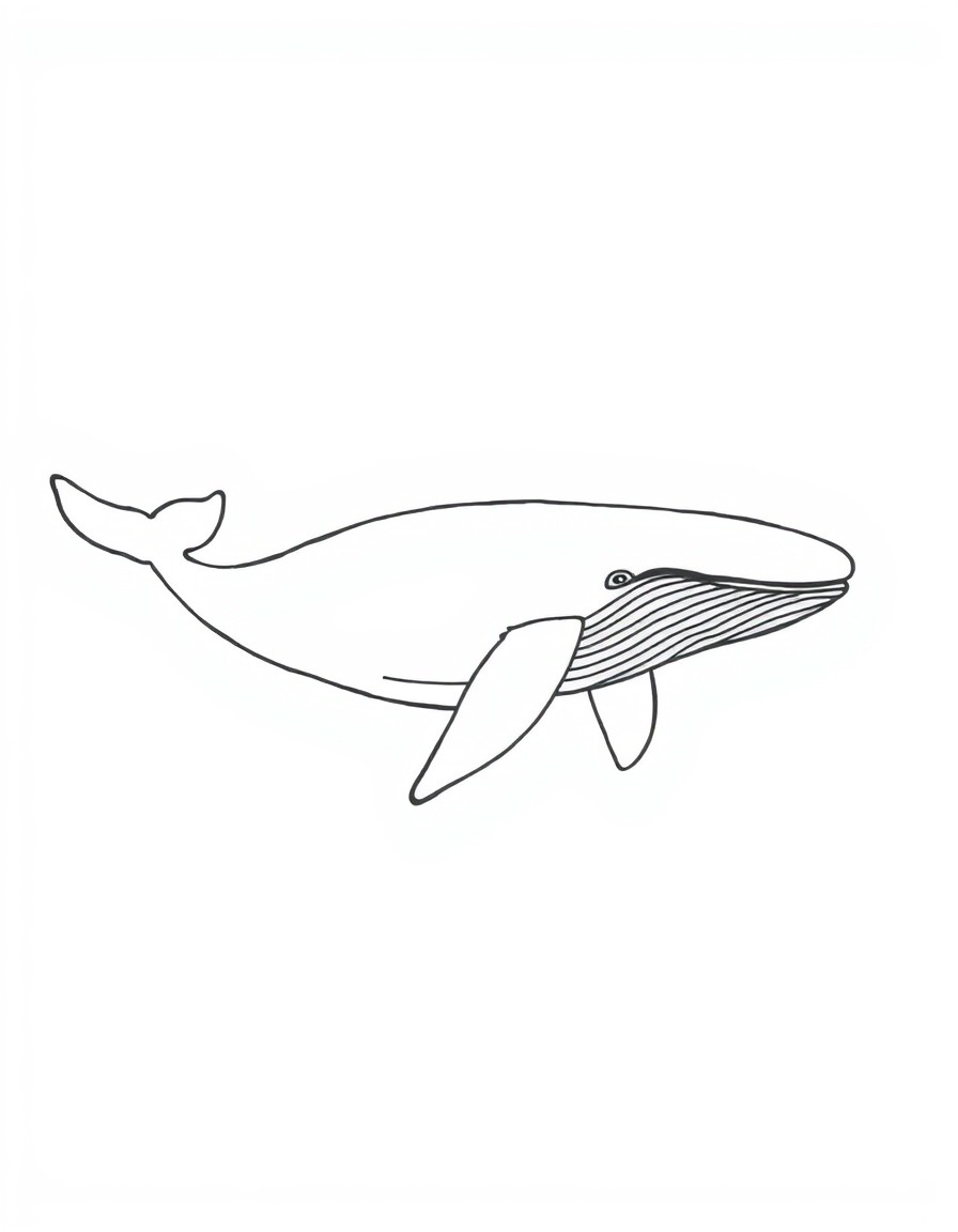 a humpback whale