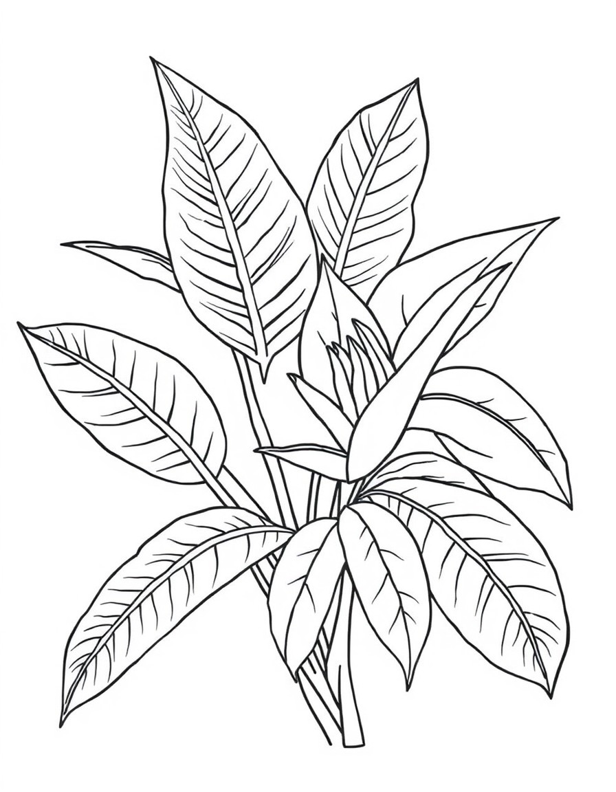 Risco para bordado de Plantas  Folhagens Tropicais "Um desenho linear em preto e branco representando diferentes tipos de folhagens tropicais, como costela-de-ado, samambaia e eucalipto. O risco deve