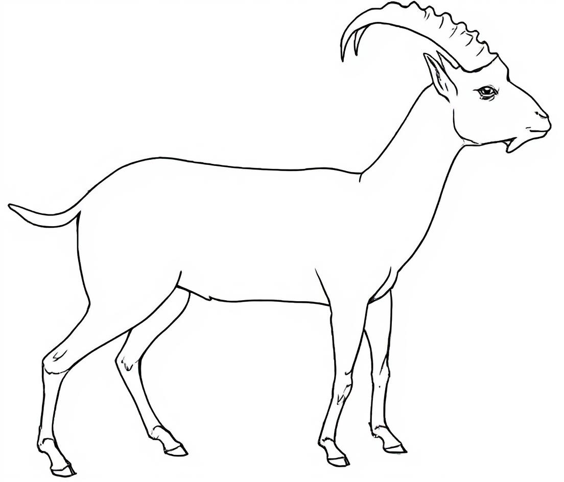 Make this a high-quality black and white COLORING PAGE with white background, only black lines, NO big gray areas, and clear, thick bold outlines, well-defined shapes, and clean edges. Remove all shad