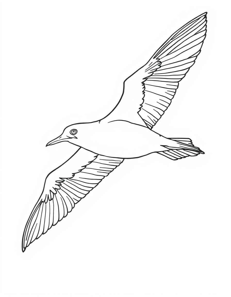 an Albatross with white eyes in flight