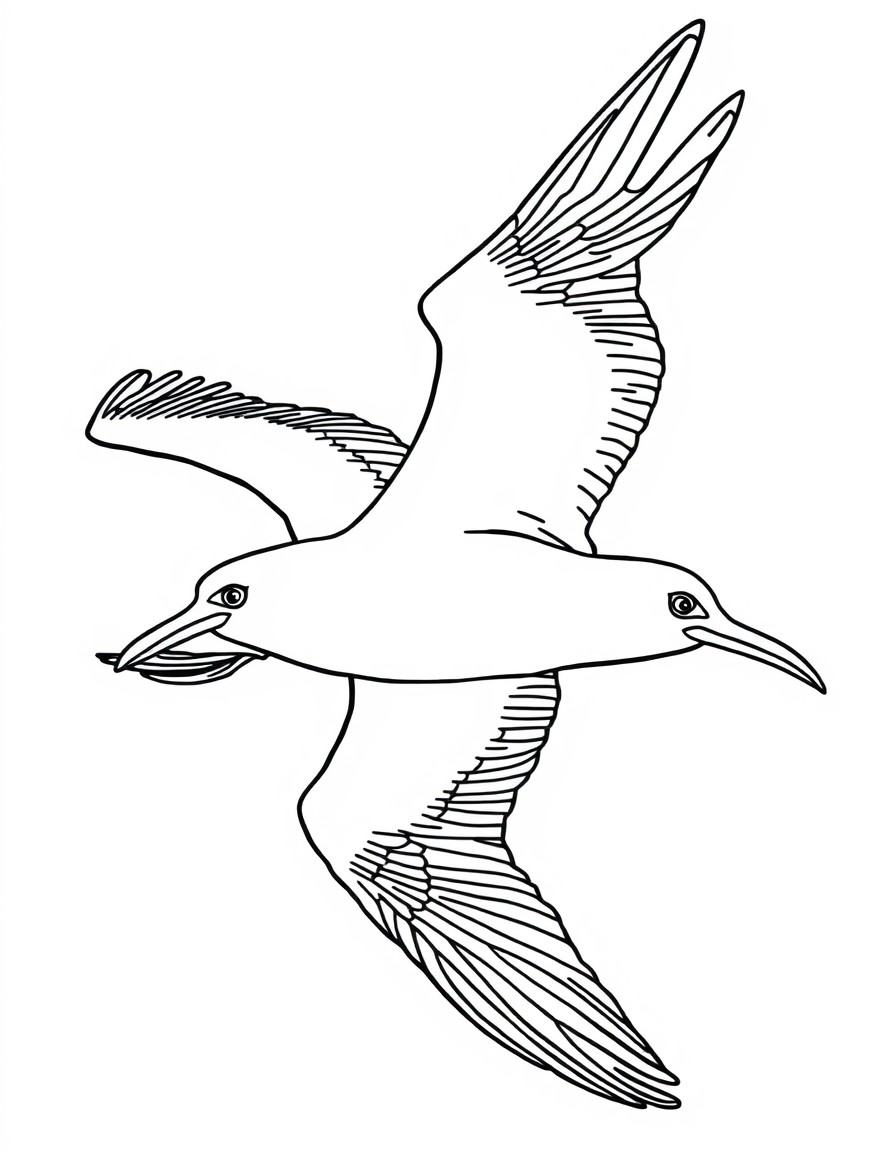 an Albatross with white eyes in flight