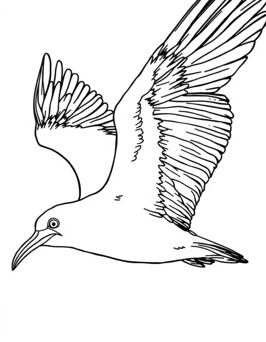 an Albatross with white eyes in flight